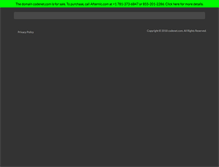 Tablet Screenshot of codenet.com